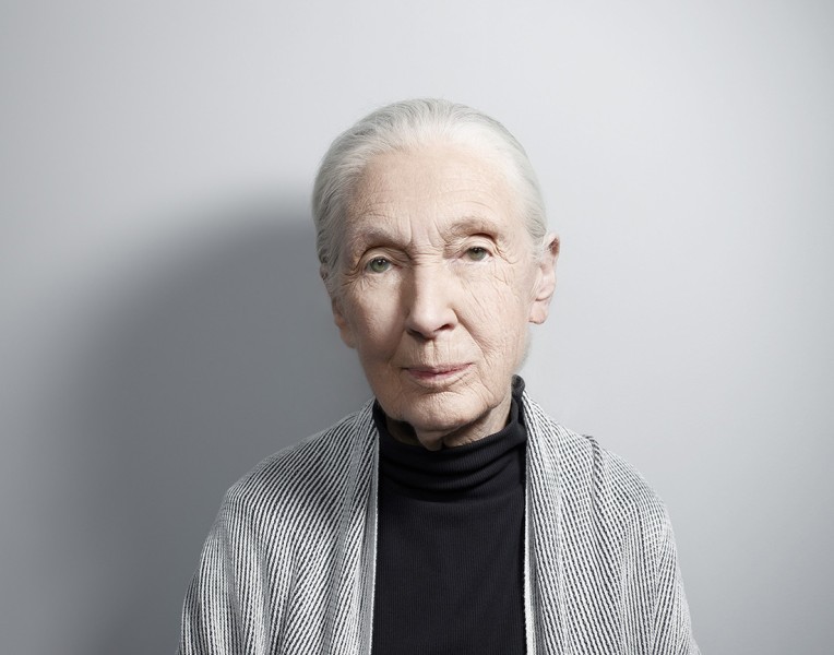 123 jouk-oosterhof janegoodall 4colour Jouk Oosterhof