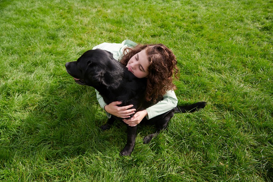  dsc7127 Niels Stomps