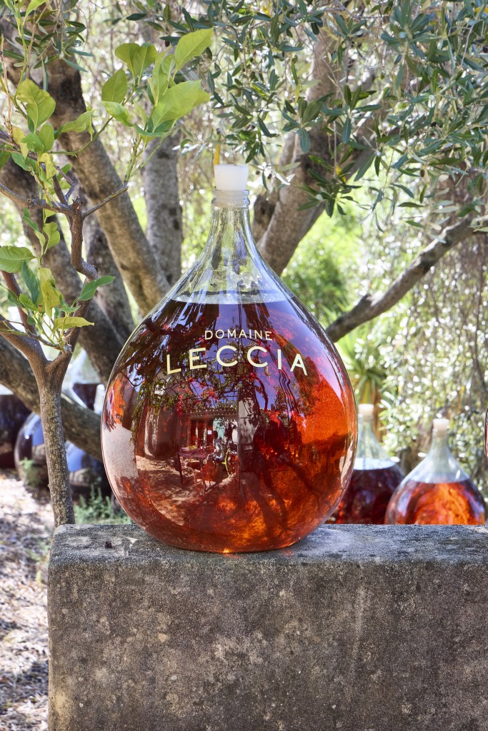 Jonathan for Kampioen in Corsica