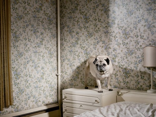 Go & See: Exhibition of Jouk’s work in Verkadefabriek till April 15th