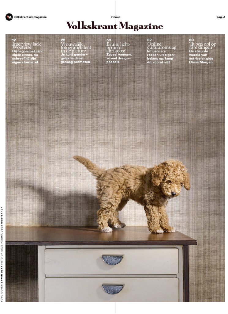 Series about poodles in VK Magazine by Jouk Oosterhof