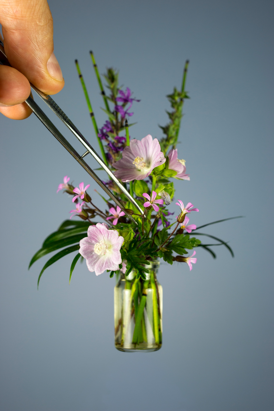 Project “Forget Me Not” by Niels Hoebers