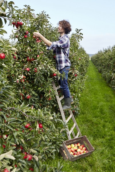 2k--2 Jonathan Andrew