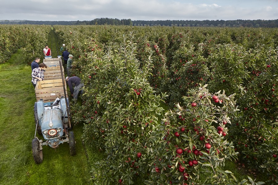 2l--2 Jonathan Andrew