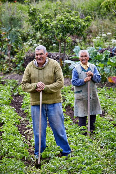 Almofala  circuito pr-fcr1 810a9386 Jonathan Andrew