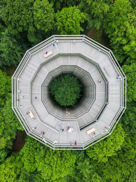 Baumwipfelpfad, ruYgen dji 0881 Jonathan Andrew