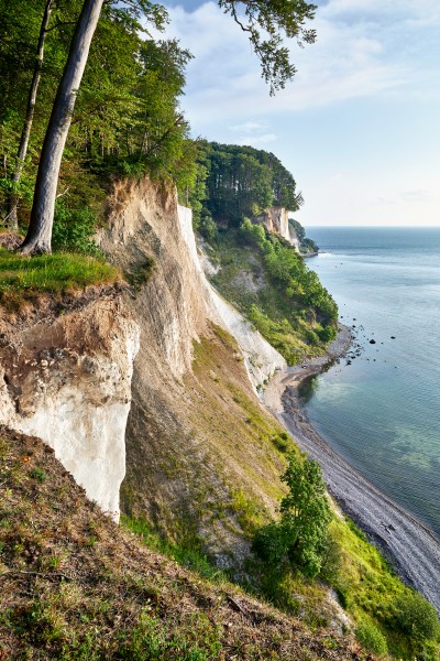 Chalk cliffs, jasmund national park ruYgen  810a3480 Jonathan Andrew