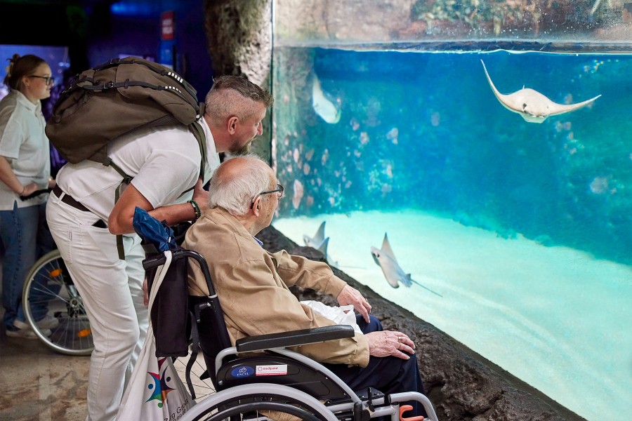 Dagje uit diergaarde blijdorp 2o6a9570-small Jonathan Andrew