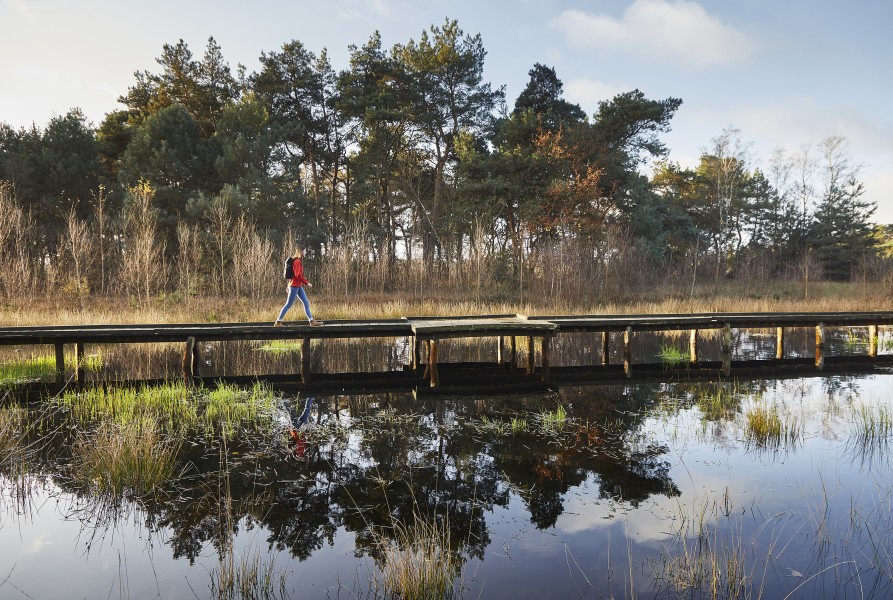 Eendenmeer, maasduinen 810a0608 aanpassing final Jonathan Andrew