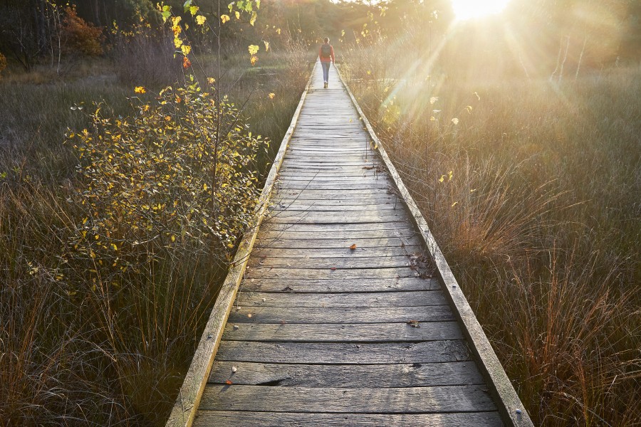 Eendenmeer 810a0294 aangepast final Jonathan Andrew