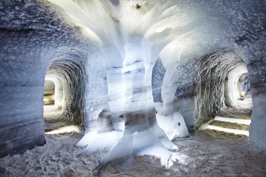 Ice sculpture of yggdrasil Jonathan Andrew