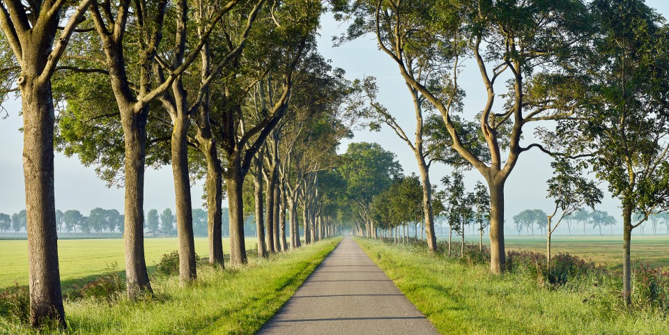 Jisperweg reverse morning mist Jonathan Andrew