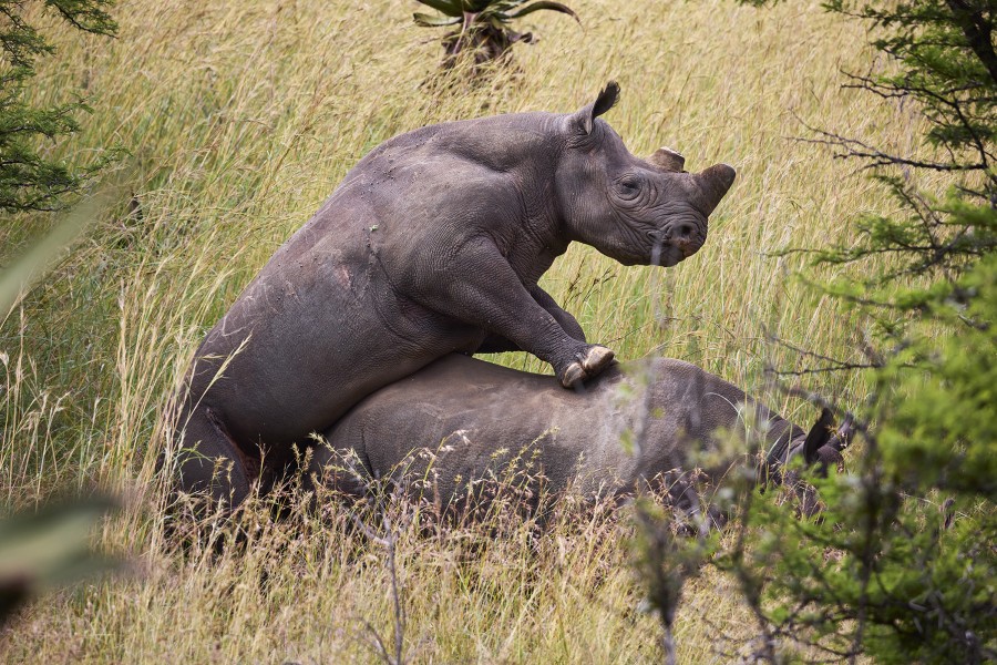 Lr zuid afrika-babanango-ja-2moa1149 Jonathan Andrew