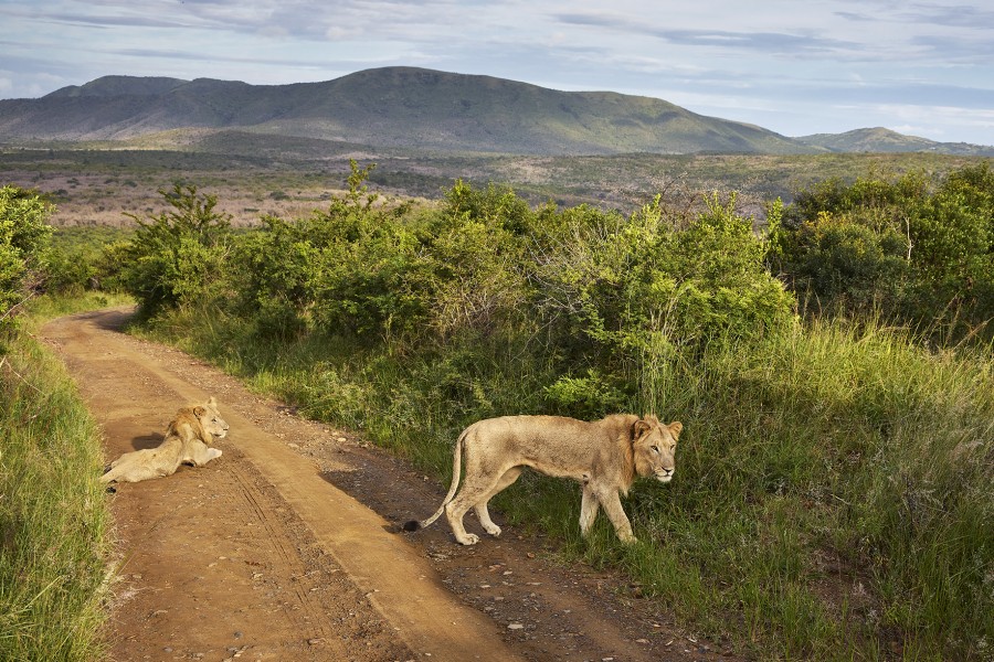 Lr zuid afrika-hluhluwe imfolozi-ja-2moa7173 Jonathan Andrew