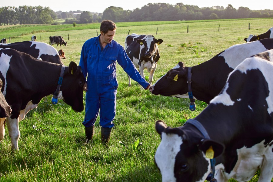Male farmer with cows 810a3482 srgb Jonathan Andrew
