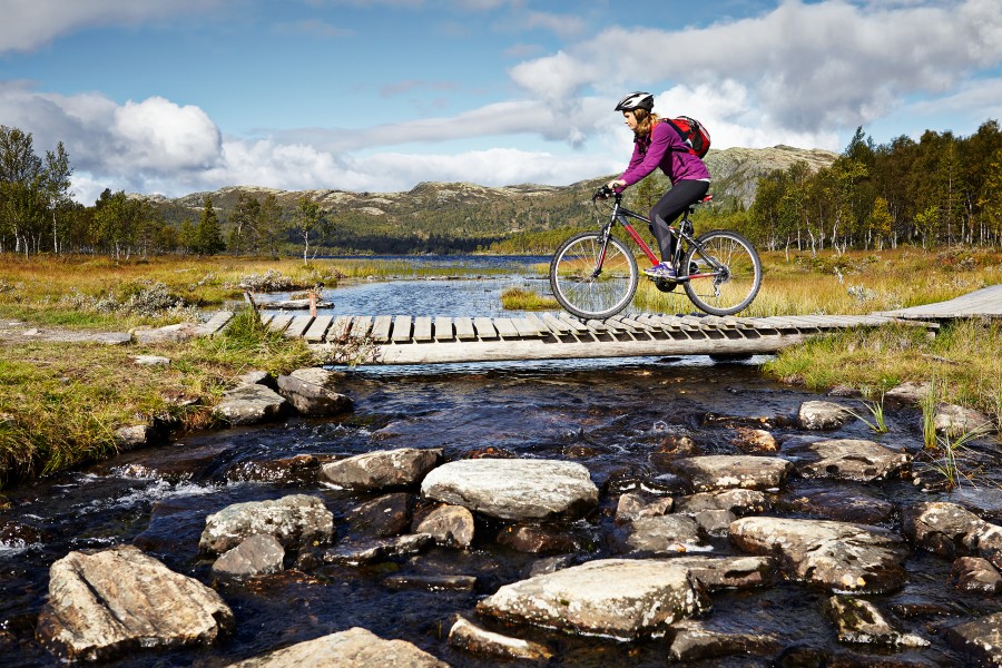 Mtb trail around fususjoen lake 3 Jonathan Andrew