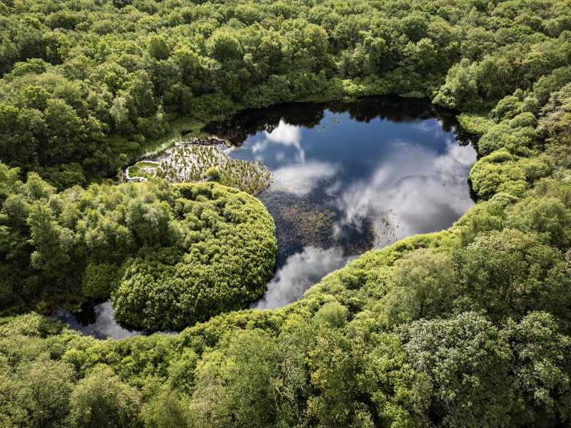 Sekmeer, staatsbos bij gieten dji 0782 Jonathan Andrew