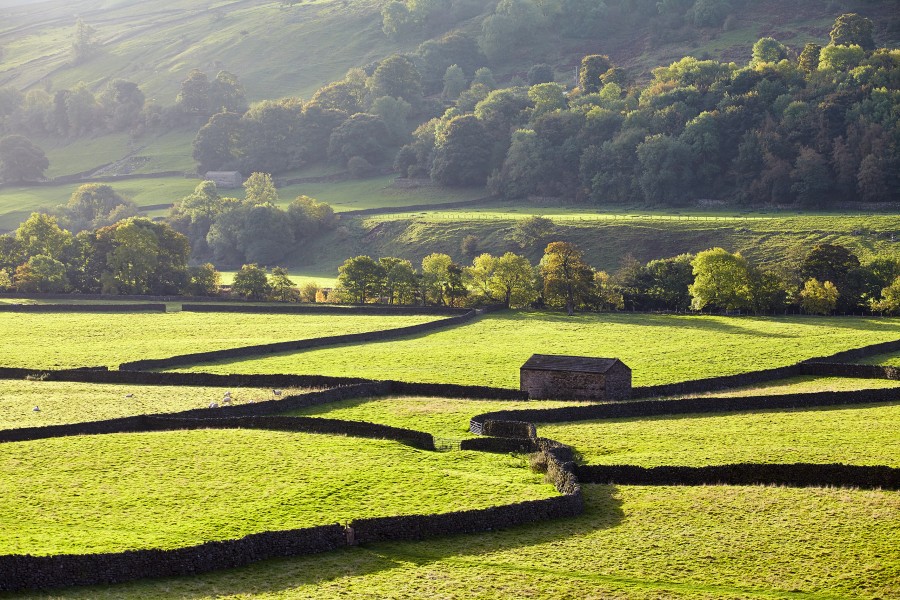 Swaledale, gunnerside 5 Jonathan Andrew