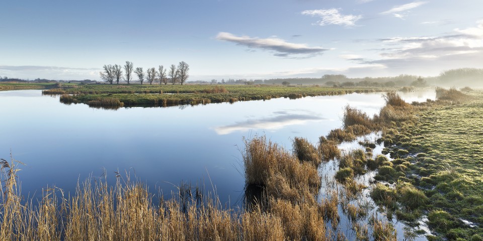 Twiske morning-3 Jonathan Andrew