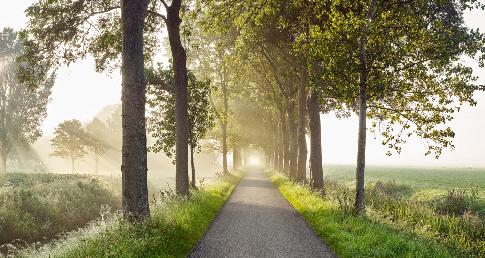 Vrouwenweg beemster in mist Jonathan Andrew