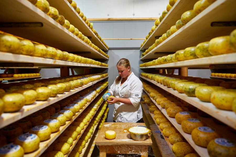 Wezenspyk, texel 810a7113 Jonathan Andrew