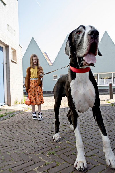 2g9a6366bewerktweb-2 Liselotte Habets