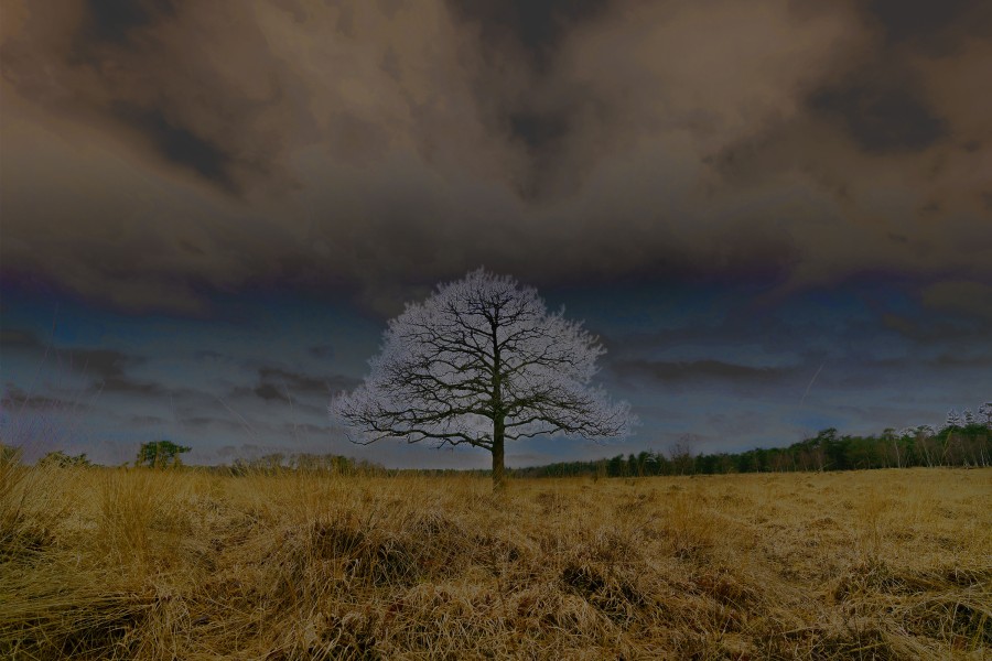 0001 20180405 untitled mi 3003 01 Matthijs Immink