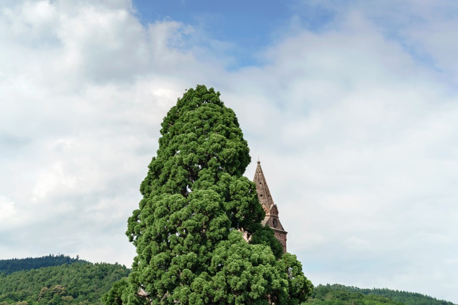 0014 20160716 untitled  dsc7237 Matthijs Immink