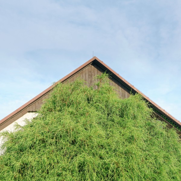 0019 20170912 mi mi 9767 Matthijs Immink