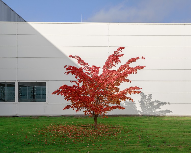 0020 20151029-imk 4458 Matthijs Immink