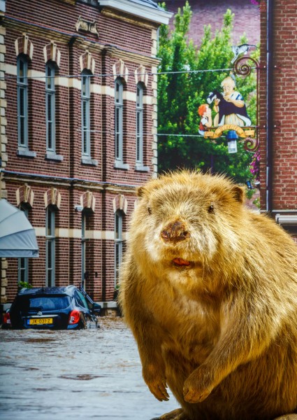 05 bever wateroverlast 0410 Matthijs Immink