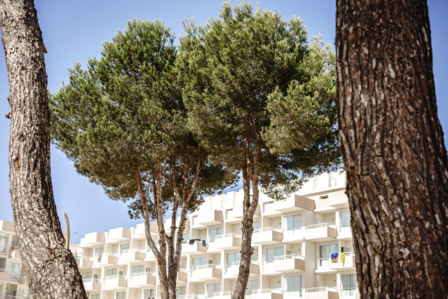 14 20150711-dsc06728 Matthijs Immink