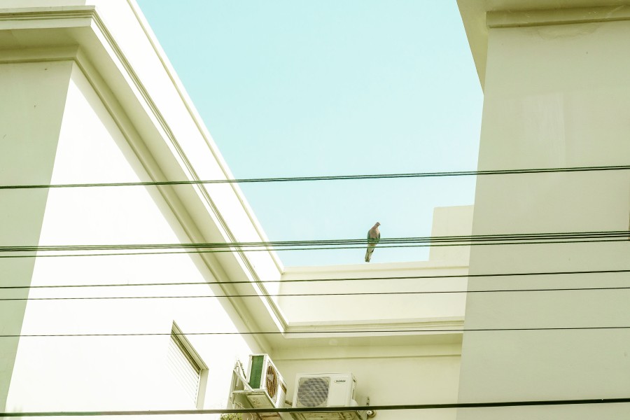 20180306 tel aviv mi 3469 Matthijs Immink