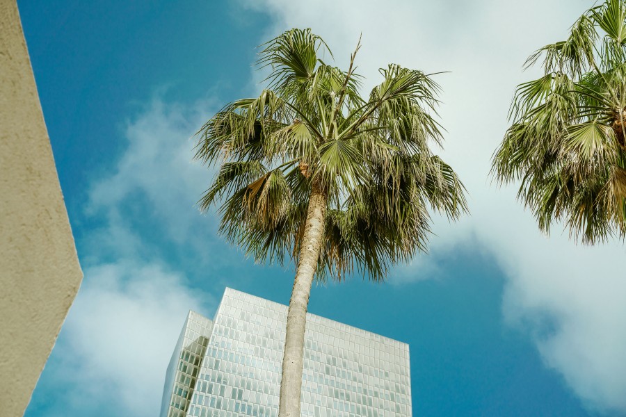 20180306 tel aviv mi 3624-2 Matthijs Immink