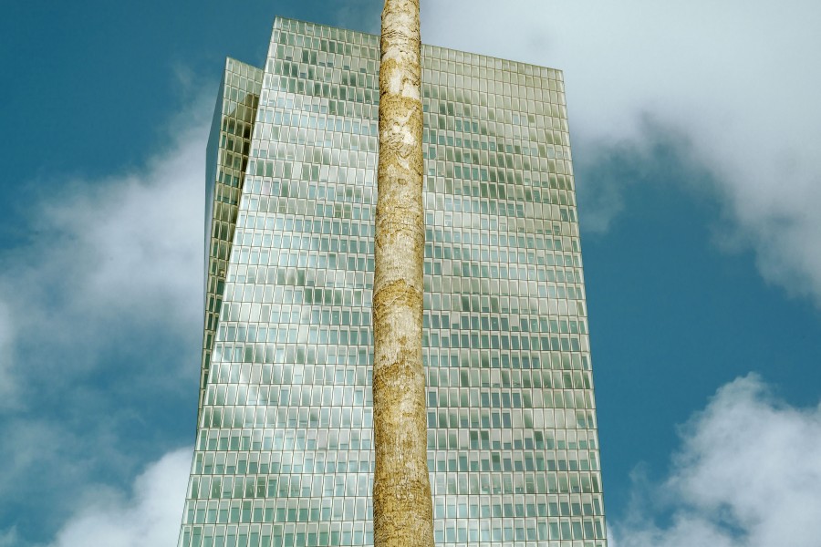 20180306 tel aviv mi 3627-2 Matthijs Immink