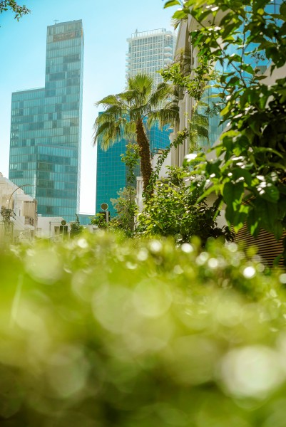 20180307 tel aviv mi 3992 01 Matthijs Immink