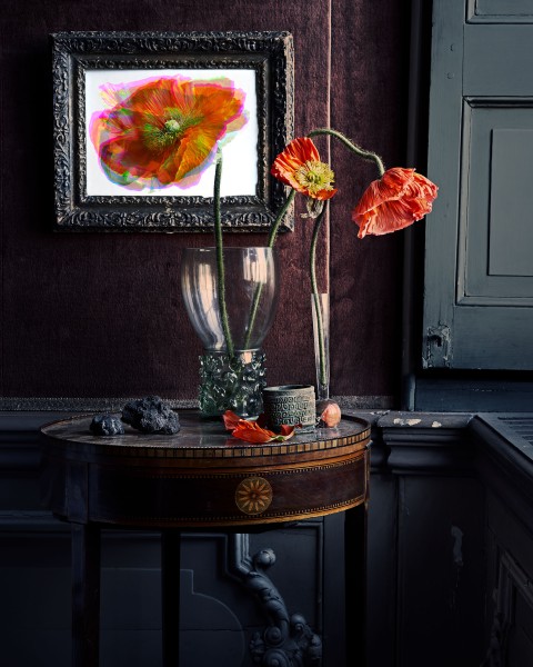 Shifted flowers matthijs immink judith rasenberg 2 Matthijs Immink