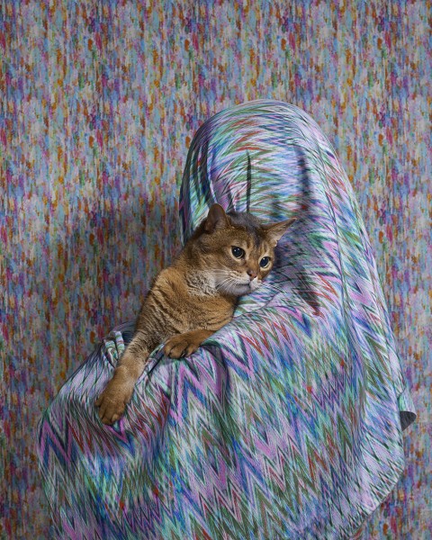 173  jouk-oosterhof volkskrant puss mensjevankeulen bosie Jouk Oosterhof