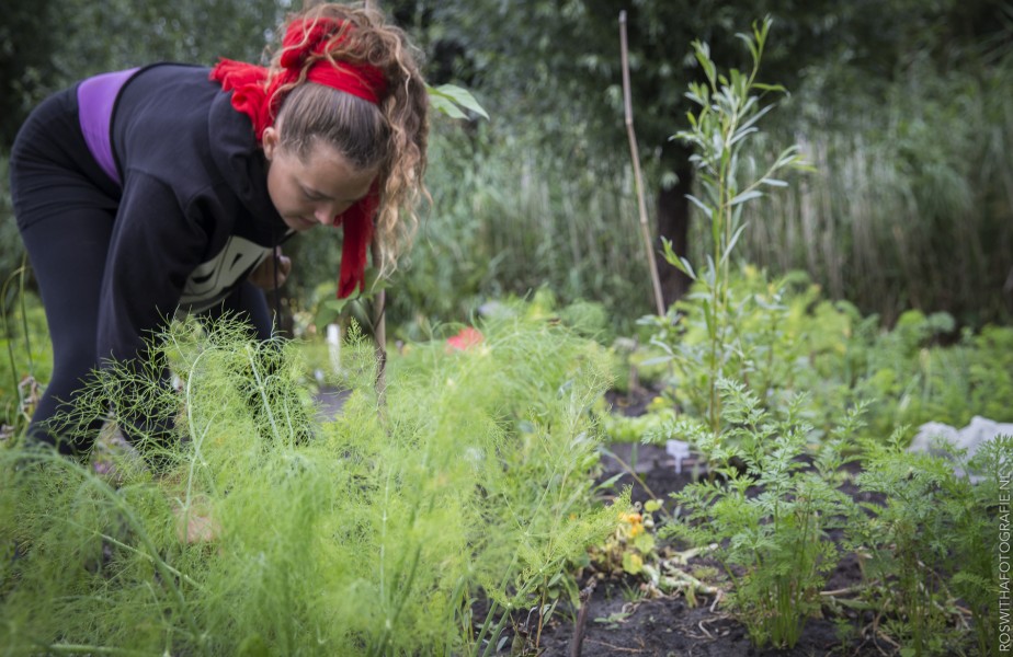 F roswitha - reportage - voervoorbeeld- groei bloei bijlmer 1118 Roswitha de Boer