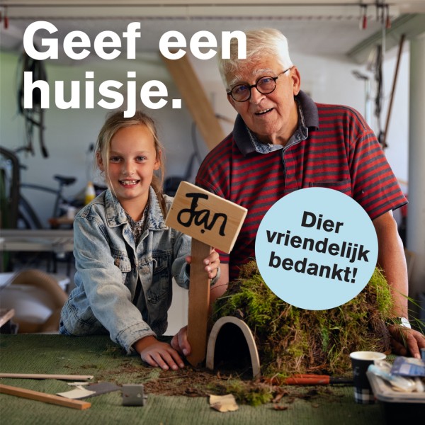 Db huisje 1-1 Jeroen Simons