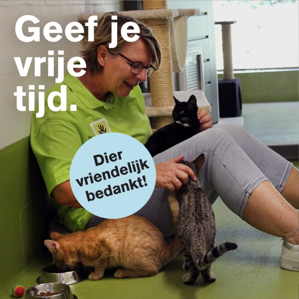 Db vrijwilliger 1-1 Jeroen Simons