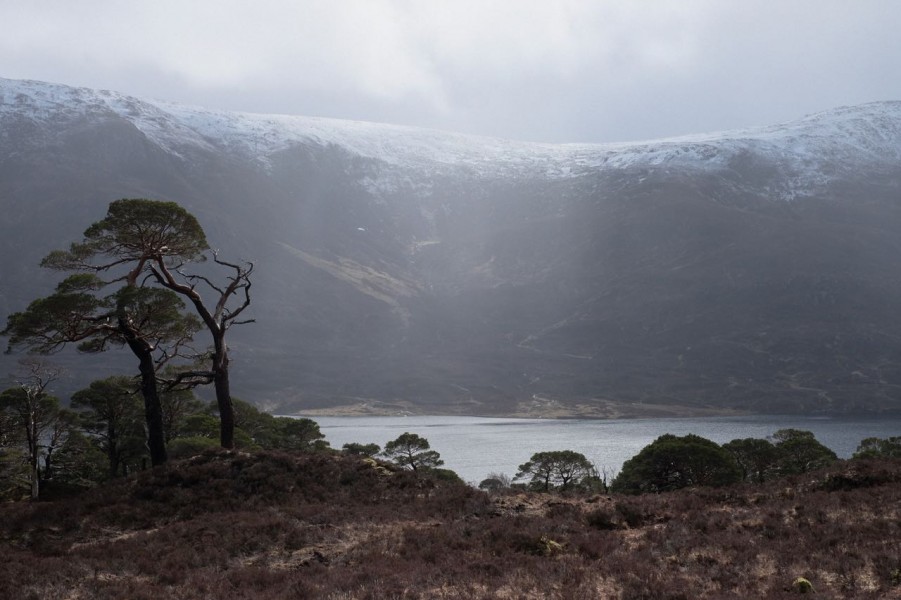 Dscf0362-2 Jeroen Simons