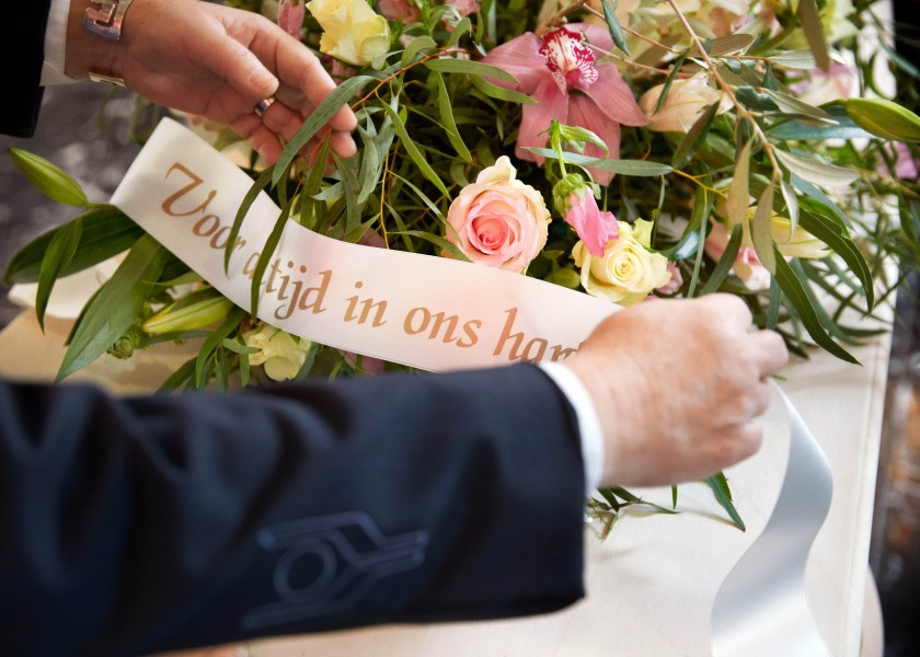 04 cs  5046 srgb v1 Chantal Spieard