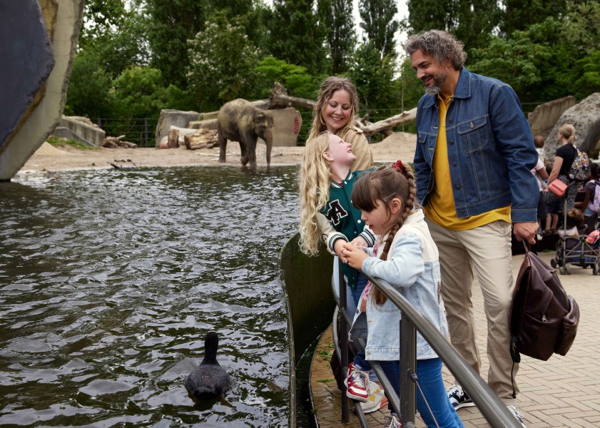 05 cs 8000 srgb v1 Chantal Spieard