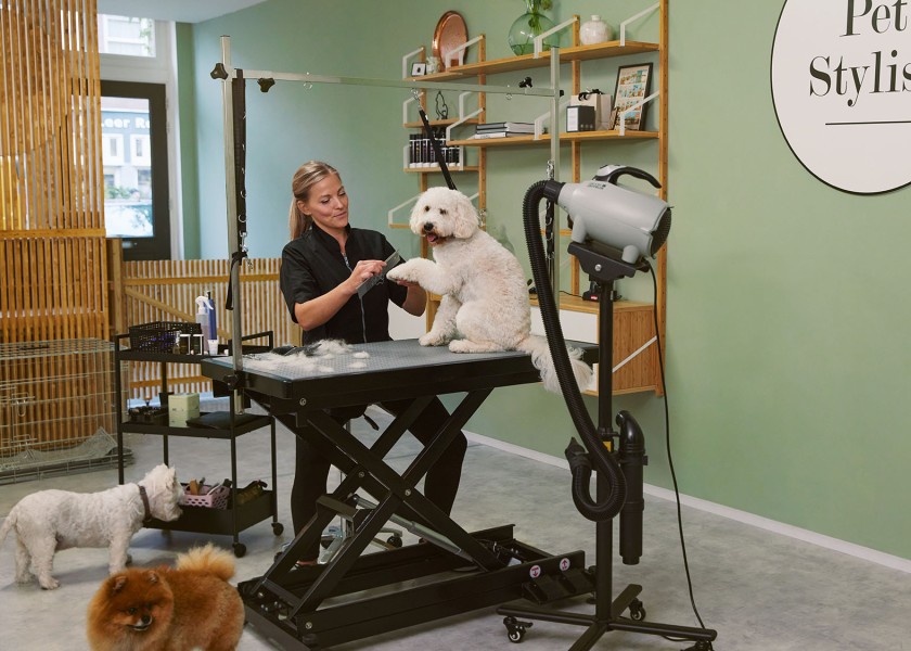 16 honden 087 srgb v2-klein Chantal Spieard