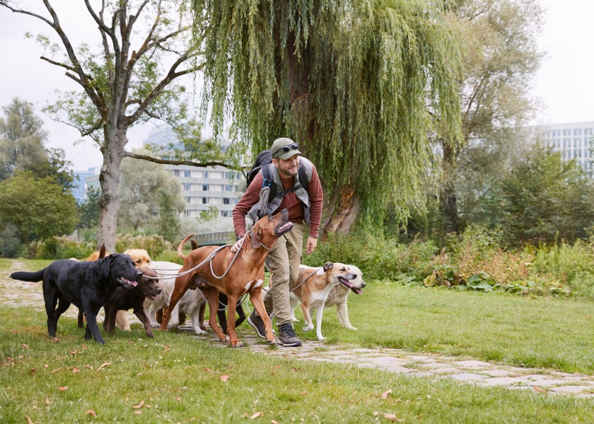 2024 09 belastingdienst8904 c2 srgb Chantal Spieard