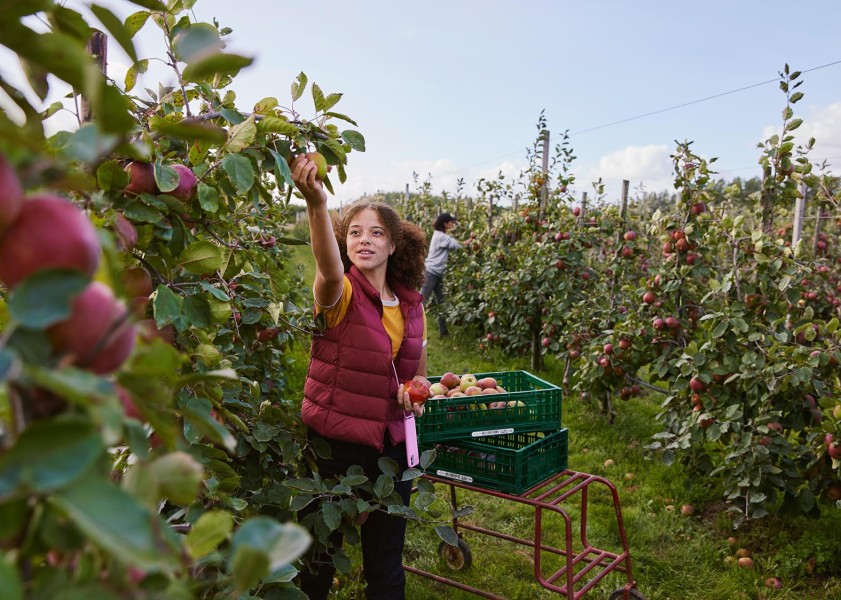 36 boomgaard 081 srgb v2-klein Chantal Spieard
