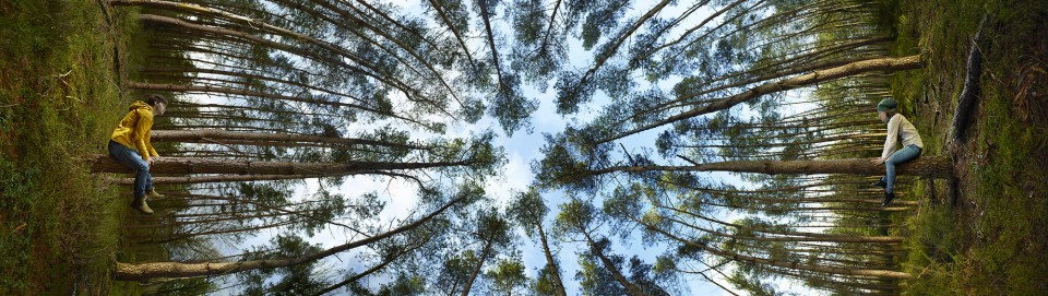 Ellenkooi apeldoorn-wip srgb2000px Ellen Kooi