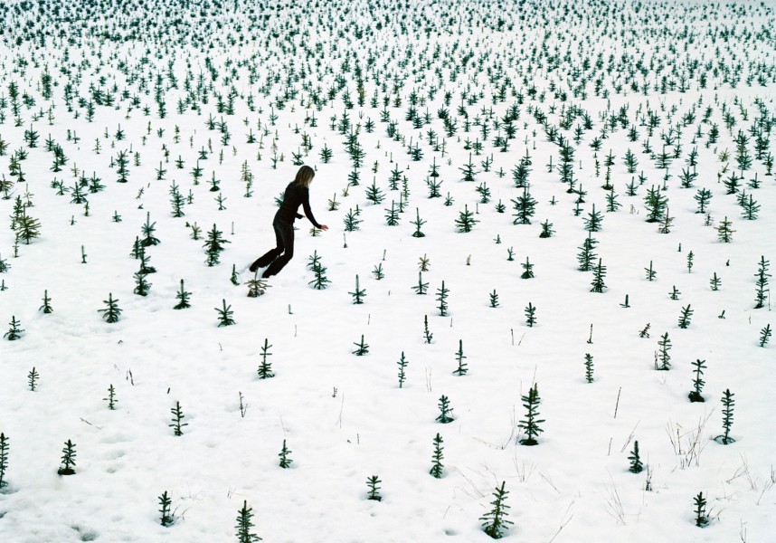Ellenkooi eifel-baumschule srgb Ellen Kooi
