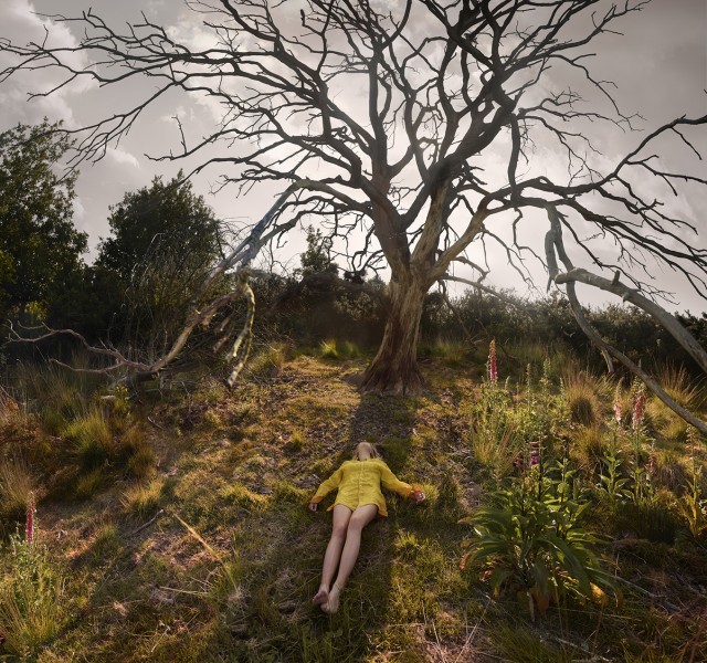 Ellenkooi rheden-schaduwboom-klein Ellen Kooi